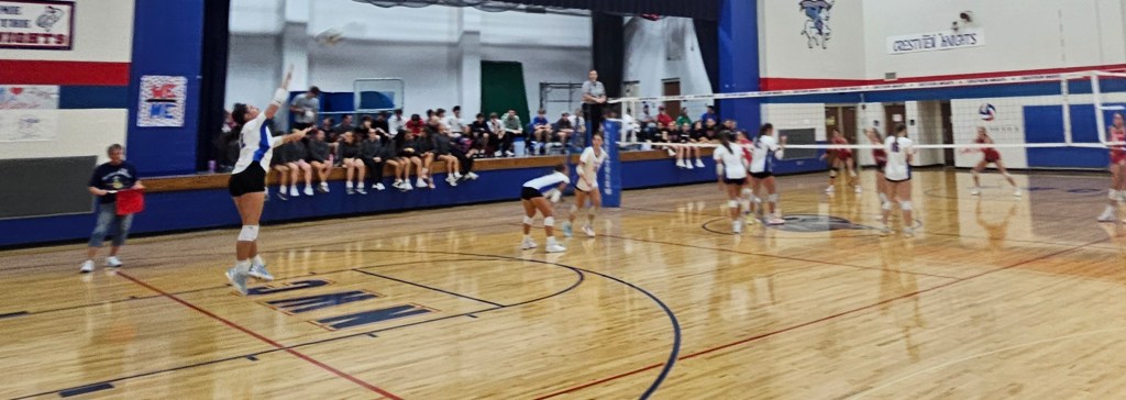 A volleyball player in mid-air preparing to serve during a game, with teammates and spectators in the background.